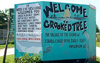 Welcome to Crooked Tree 
